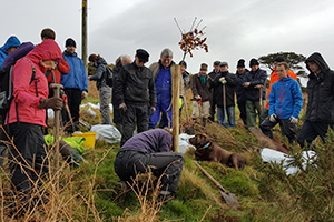 Mourne Heritage Trust